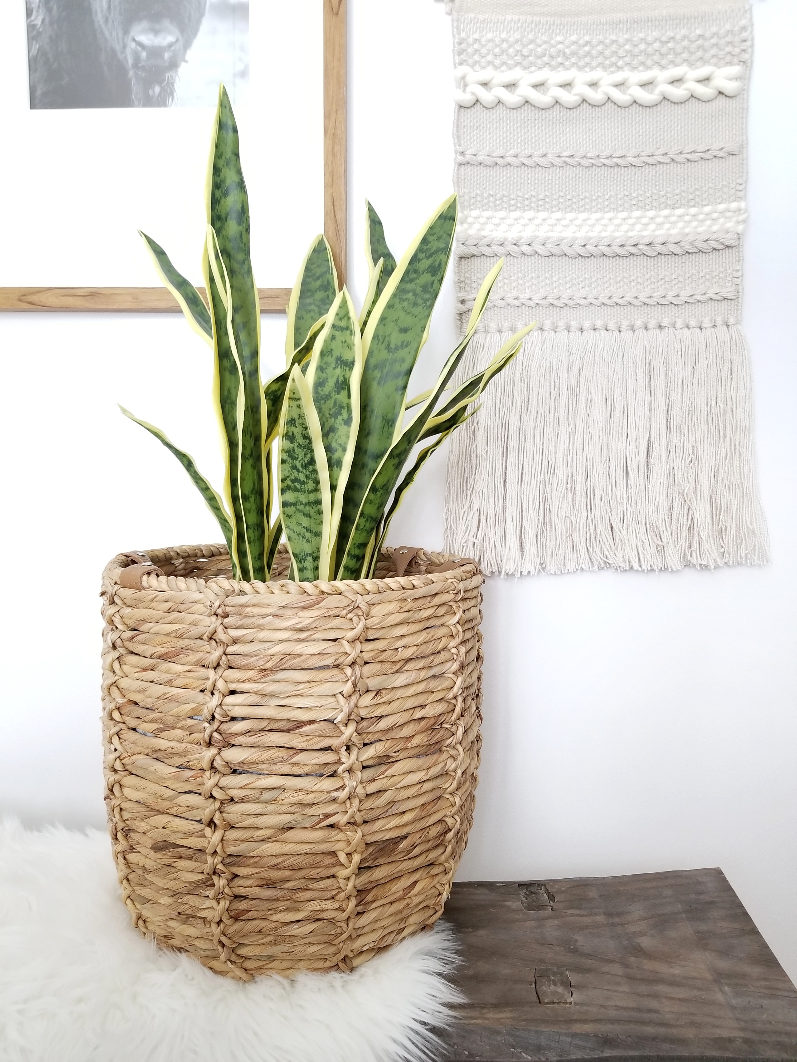 Add texture to your home with baskets.